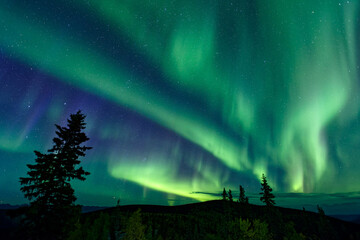 Awe-inspiring aurora borealis illuminating a night sky in Dawson City, Yukon Territory, Canada