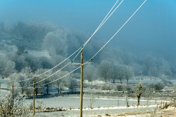 Snowy hillside with power lines and lush trees in the fog