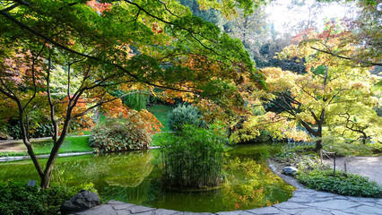 Amazing colored autumn trees garden in sunny day near Lake Como, October 18, 2018