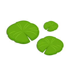 Lily pad icon. Lily cartoon vector on white background.