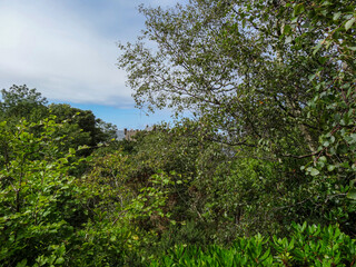 Dunvegan Castle and grounds, Isle of Skye