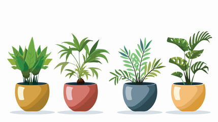 Four of decorative houseplants growing in planters