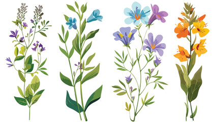 Four of field and meadow wild flowers. Botanical design