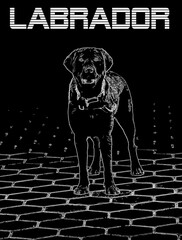 Labrador in azione, illustrazione per uso di business, marketing, comunicazione, tatuaggi