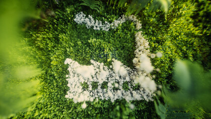 3D rendering of a factory made of tiny white mushrooms surrounded by green moss and ferns,...