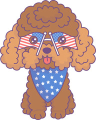 Patriotic dog poodle. American Independence Day