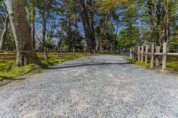 金沢 兼六園の遊歩道