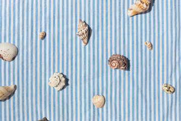 Different kinds of seashells frame on the blue striped fabric background top view. 