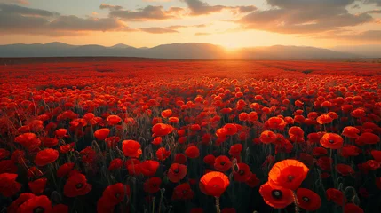 Fotobehang A field of red poppies with the sun setting in the background © Tatiana