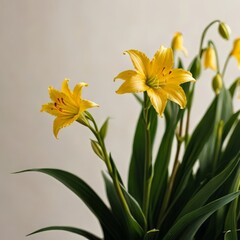 bouquet of flowers