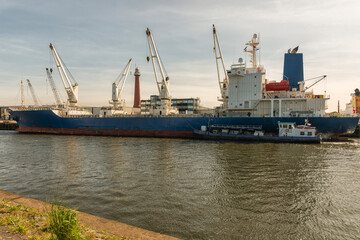 Fototapeta premium cargo ship with four cranes on board