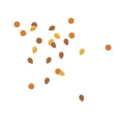 seeds and grains for sprinkling baked goods