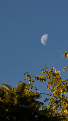 moon in the day