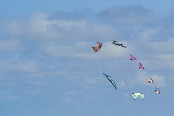 Kites in the sky. Event with revolution toy in the air.