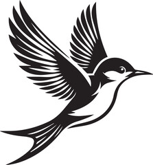 black and white bird