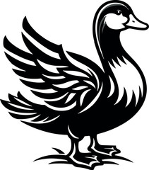duck isolated on white
