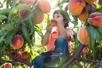 Child in a peach orchard, sitting on a tree branch, enjoying a fresh peach. Sunlight filters through the leaves, highlighting the ripe peaches and green foliage.