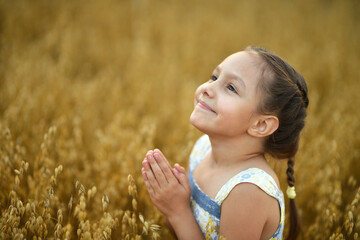Cute little girl in the wheat field. 