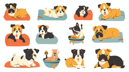 French and English bulldogs breeds set. Cute doggies