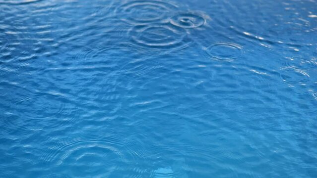 Rain drops falling onto the surface of a swimming pool