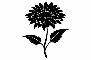 A beautiful gaillardia flower silhouette black vector artwork illustration