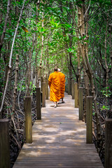 Monks in the woods