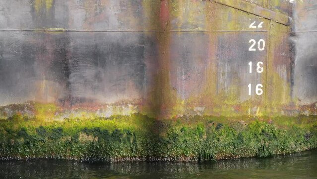 Rust and weed covered Thames barge hull.
Detail of a barge moored in the Thames.
