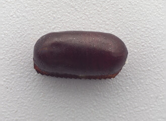 Macro of American cockroach eggs  (Periplaneta americana)  on white background.