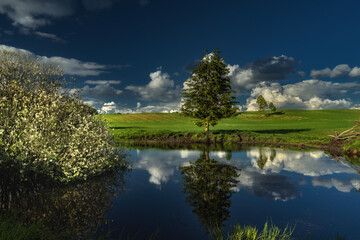Staw © Robert