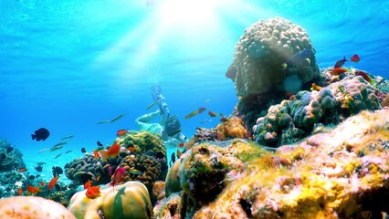 A man shows the OK sign while  snorkeling in the clear waters of the Maldives with colorful Corals and fish, Indian Ocean