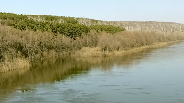 A fragment of a small river with high banks overgrown with dense bushes on a clear spring evening. Inya River, Novosibirsk, Siberia, Russia.