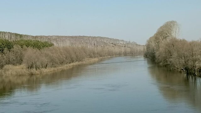 The calm surface of the water of a small river flowing serenely through a hilly valley surrounded by tall bushes and trees on a clear spring evening. Inya River, Novosibirsk, Siberia, Russia.