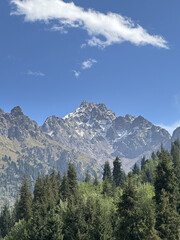 mountains and clouds and forest 