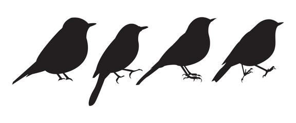 Set of black bird silhouettes. Vector elements for design. logo on white background