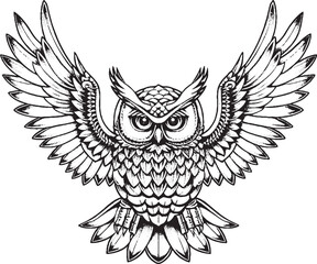 Obraz premium gufo che apre le ali 03