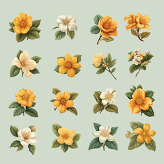 Set of Vintage Handrawn Flower