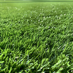 Fototapeta premium Green Grass Background Texture