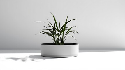 A modern planter pot with a sleek design, its shadow creating a subtle contrast on the solid white background