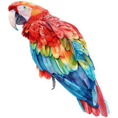 Scarlet Macaw, Bird Illustration. Watercolor Style. AI Generated