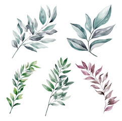 Set of Watercolor Green Branches.
