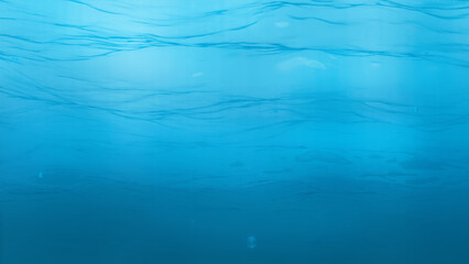 The ocean is underwater. 3D illustration of clean water.