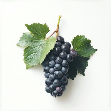 a photo of Grape, isolated on white background.