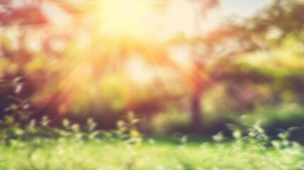 blurred photo Lawn and trees green background with Beautiful lawn The shadows of the shrub are grassy smooth clean.
