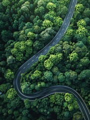A winding road through a forest with trees on both sides