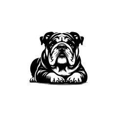 Bulldog dog vector illustration. Hand drawn line style vector bulldog dog isolated on white background