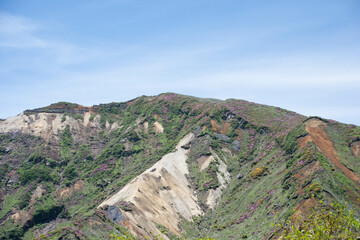 ミヤマキリシマが咲く山