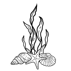 Underwater composition of seaweeds, starfish and seashells. Ocean plant vector sketch illustration style isolated on white background. Line art. For cards, posters, menu, marine beach design.