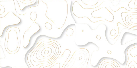 Abstract lines background. Contour maps. Vector illustration. The stylized height of the topographic map contour in lines and contours isolated on transparent. technology topo landscape grid map text.