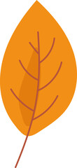 autumn leaf illustration