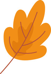 autumn leaf illustration